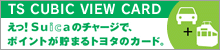 TS CUBIC VIEW CARD