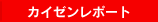�J�C�[�����|�[�g