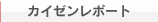 �J�C�[�����|�[�g