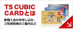 TS CUBIC CARD�Ƃ�