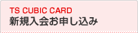 TS CUBIC CARD �V�K����\������